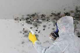 Best Environmental Consulting for Mold Prevention  in Bayside, WI